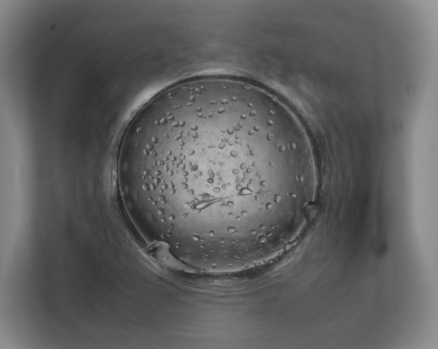 X0000112731367200908271420