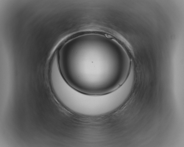 X0000112731368200908271420