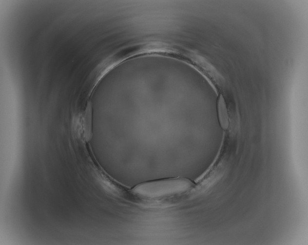 X0000112731369200908271420