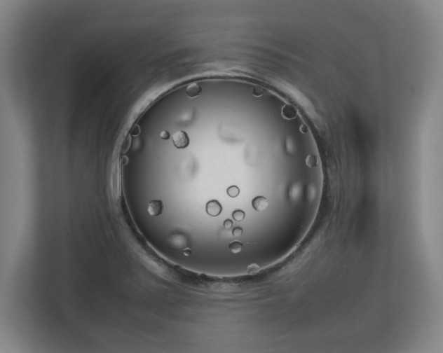 X0000112731371200908271420