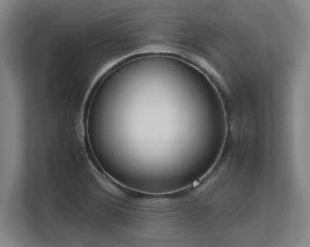 X0000112731372200908271420