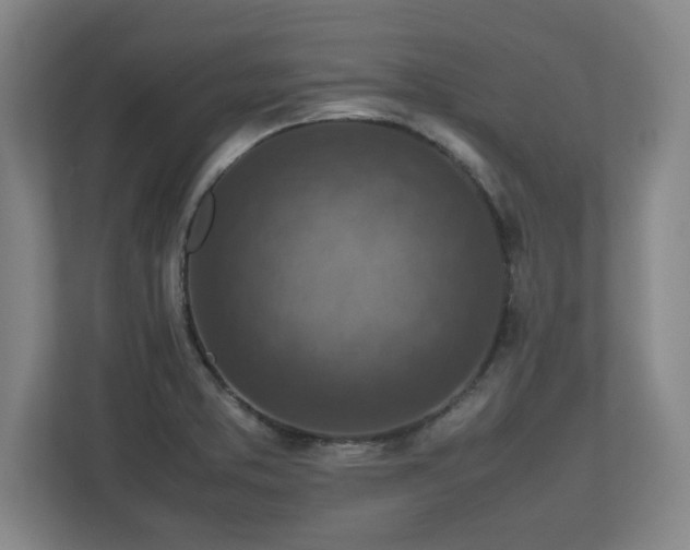 X0000112731373200908271420