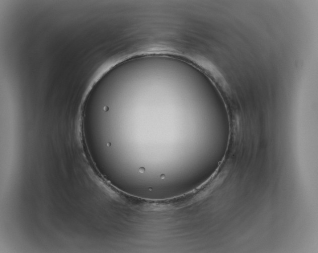 X0000112731374200908271420