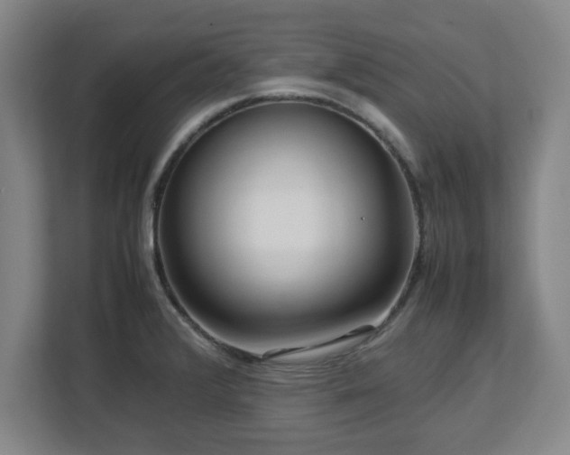 X0000112731376200908271420