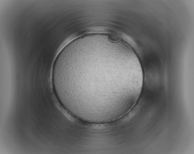 X0000112731378200908271419