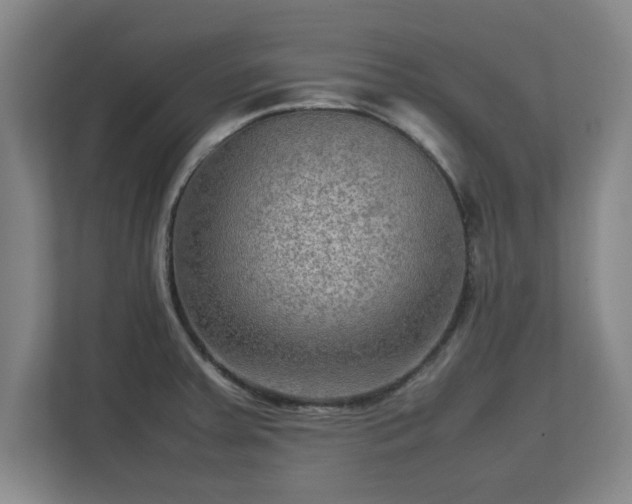 X0000112731379200908271419