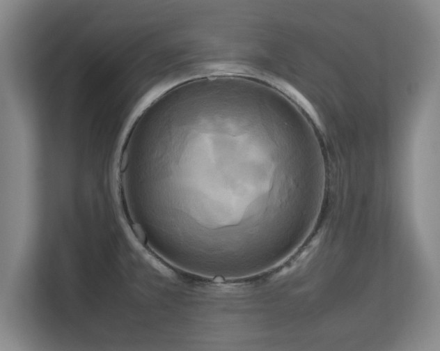 X0000112731381200908271419