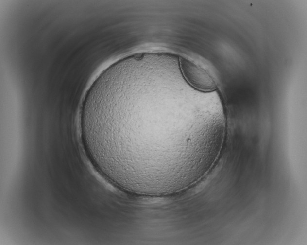 X0000112731382200908271419