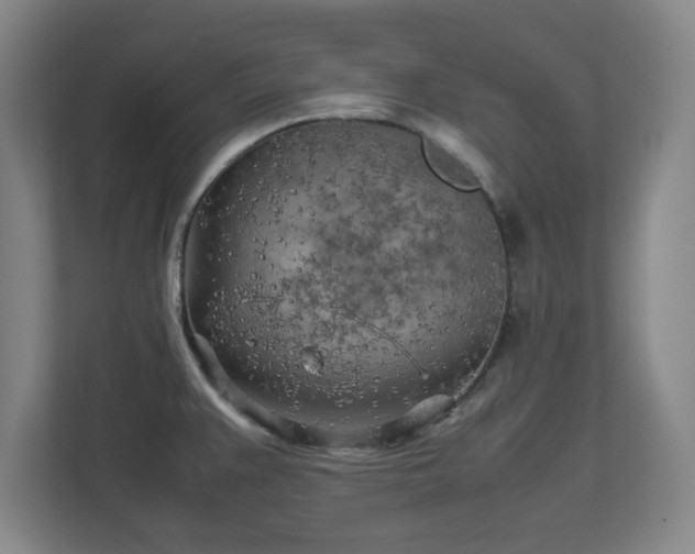 X0000112731383200908271419