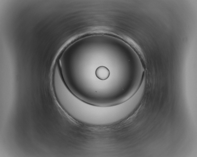 X0000112731384200908271419