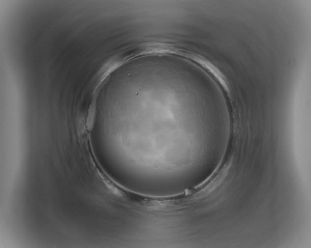 X0000112731385200908271419