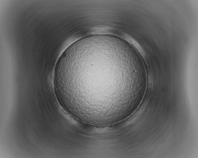 X0000112731386200908271419