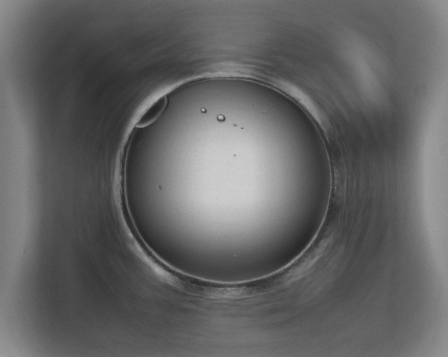 X0000112731387200908271419