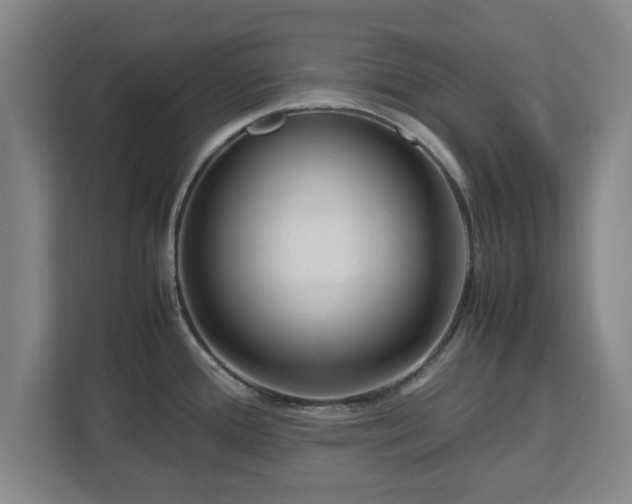 X0000112731388200908271419