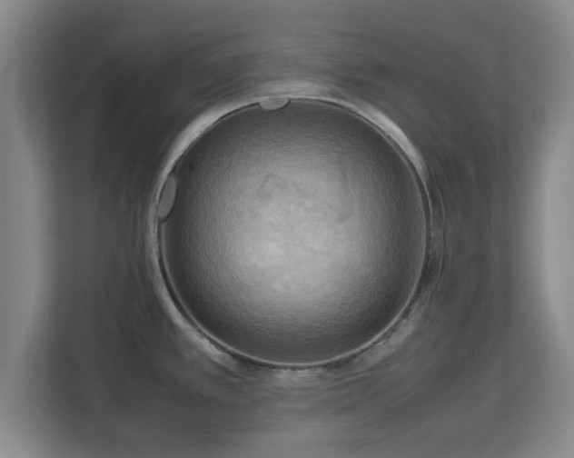 X0000112731389200908271419