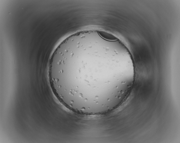 X0000112731390200908271419