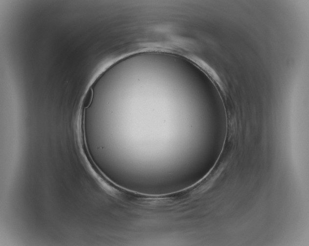 X0000112731391200908271419