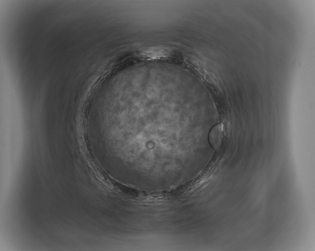 X0000112731393200908271419