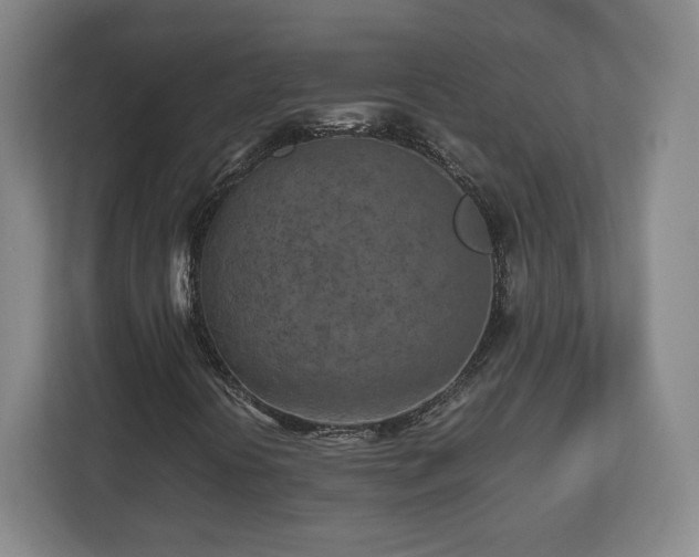 X0000112731394200908271419