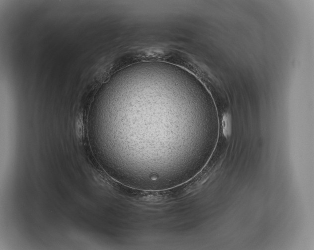 X0000112731395200908271419