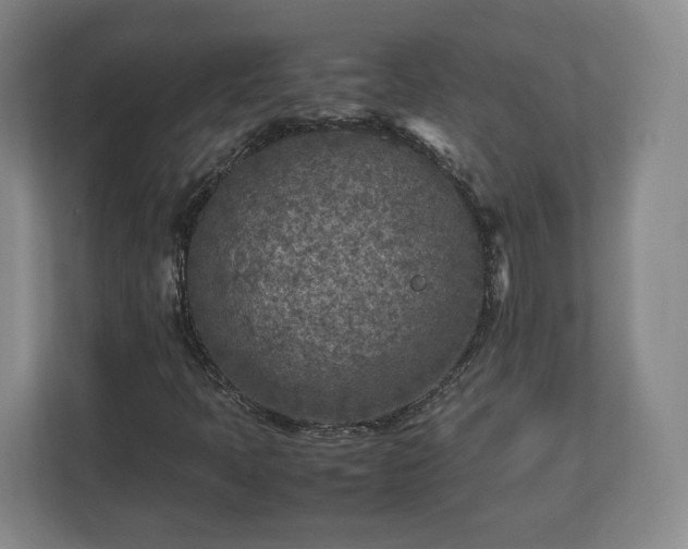 X0000112731397200908271419