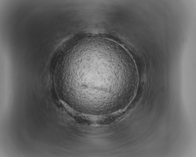 X0000112731398200908271419