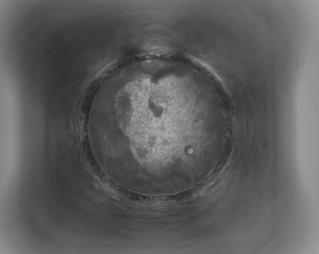 X0000112731399200908271419