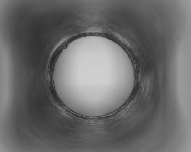 X0000112731400200908271419