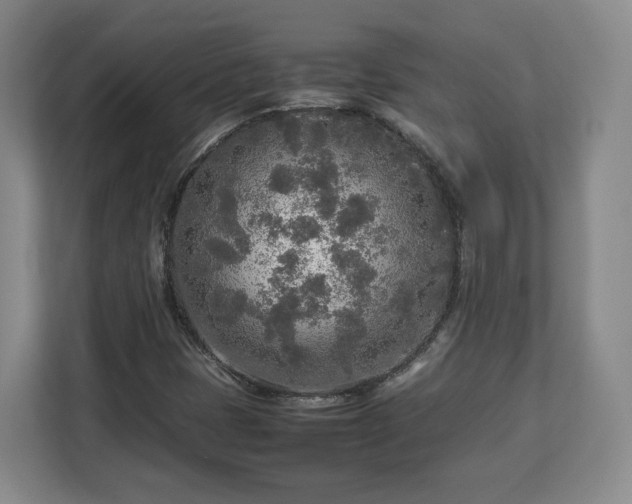 X0000112731401200908271419