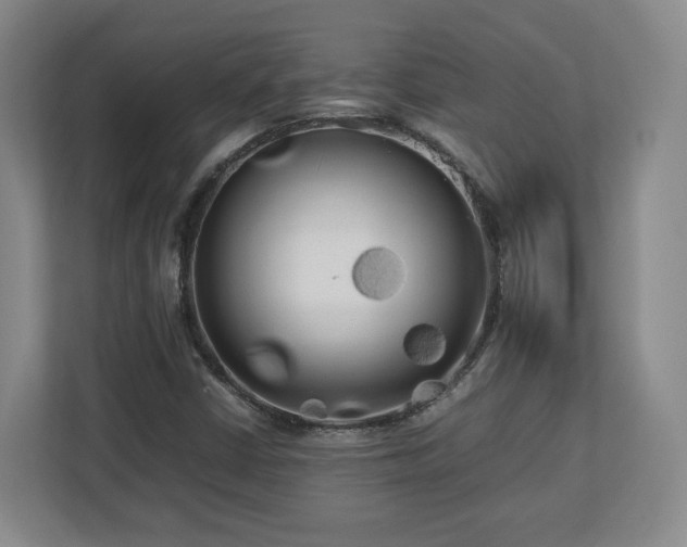 X0000112731402200908271419