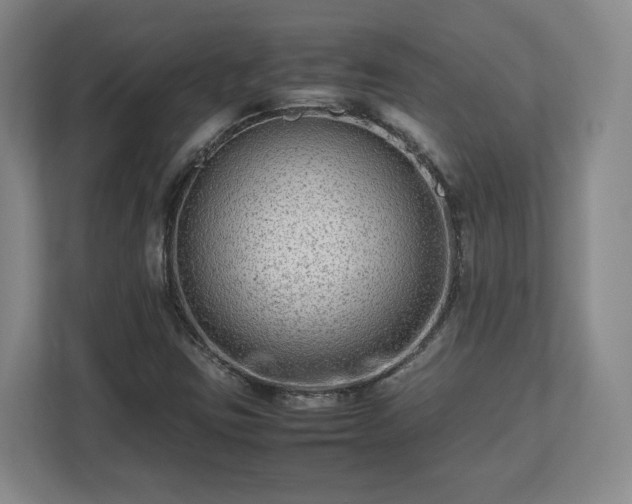 X0000112731403200908271419