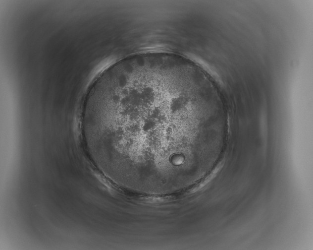 X0000112731405200908271419