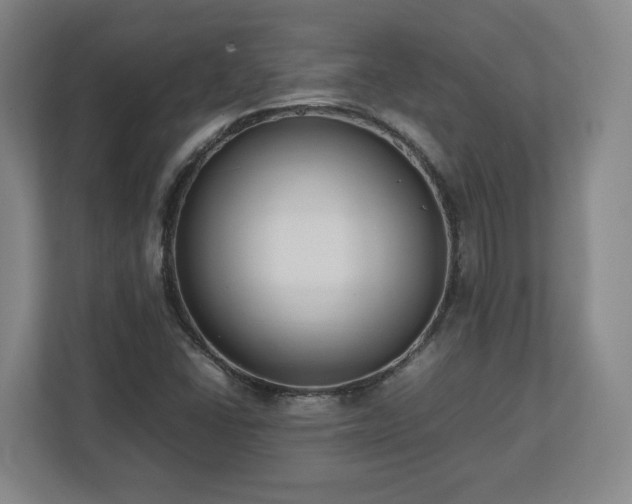 X0000112731406200908271419