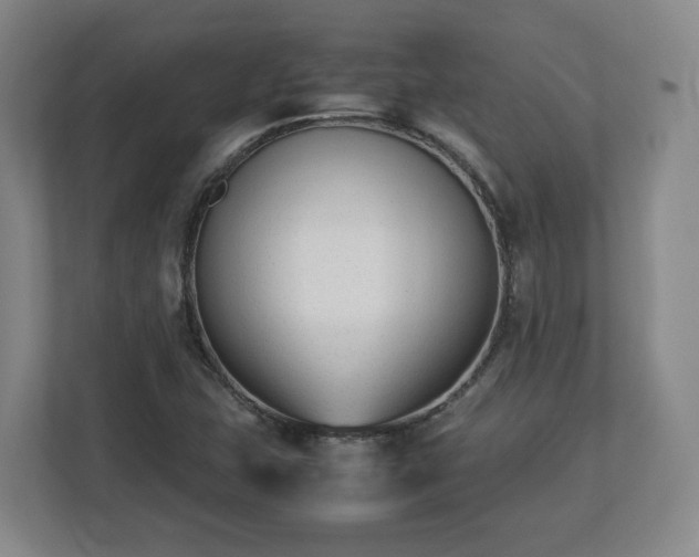 X0000112731407200908271419