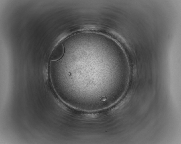 X0000112731409200908271419