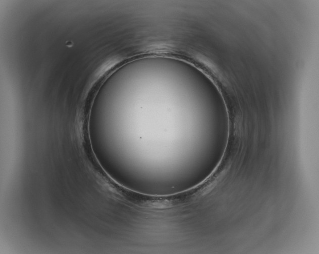 X0000112731410200908271419