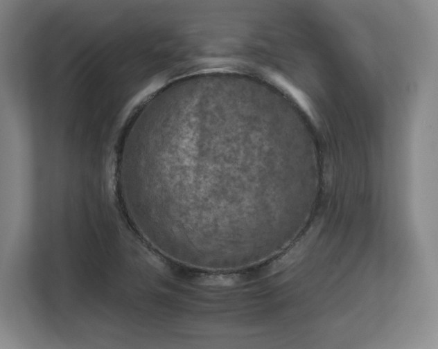 X0000112731411200908271419