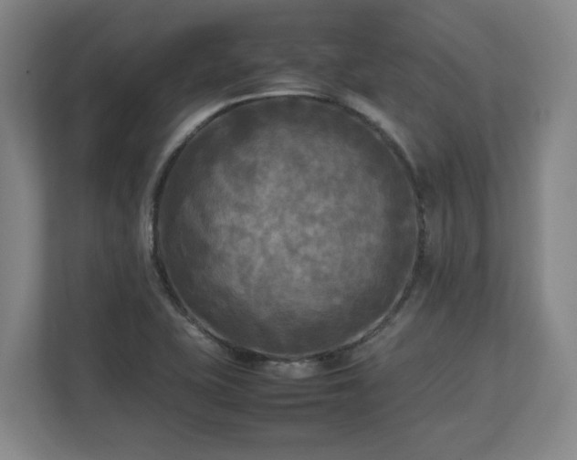 X0000112731415200908271419