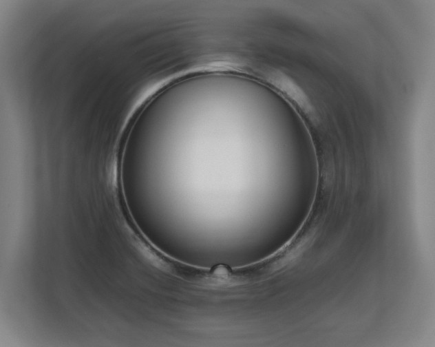 X0000112731420200908271419