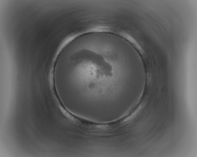 X0000112731421200908271419