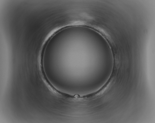 X0000112731422200908271419