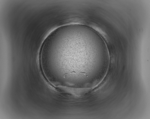 X0000112731423200908271419