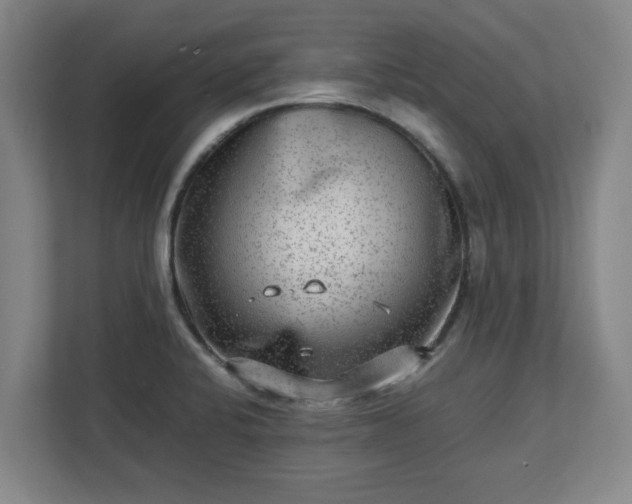 X0000112731424200908271419