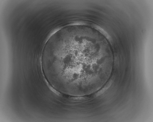 X0000112731425200908271419