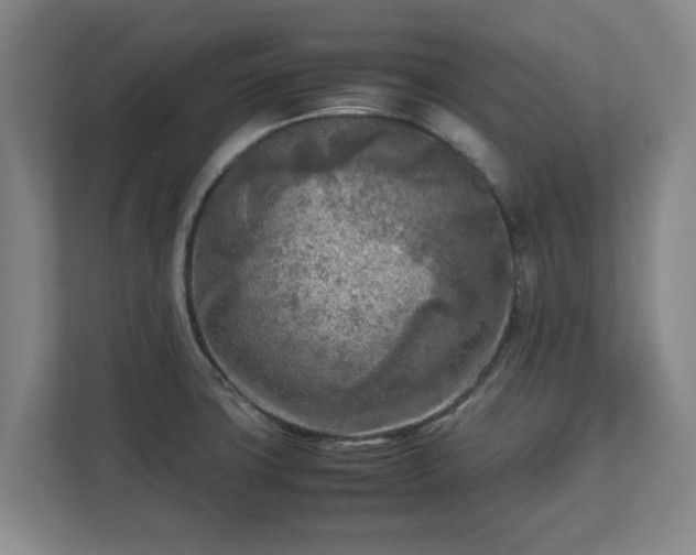 X0000112731427200908271419