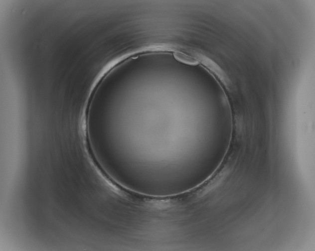 X0000112731428200908271419