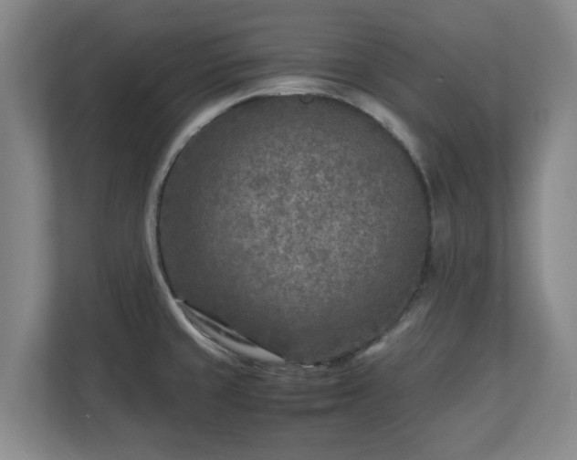 X0000112731429200908271419