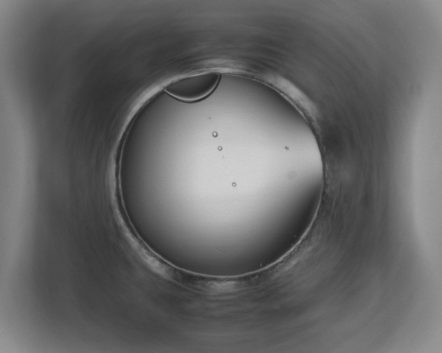 X0000112731431200908271419