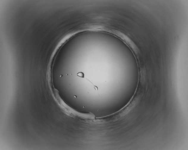 X0000112731432200908271419