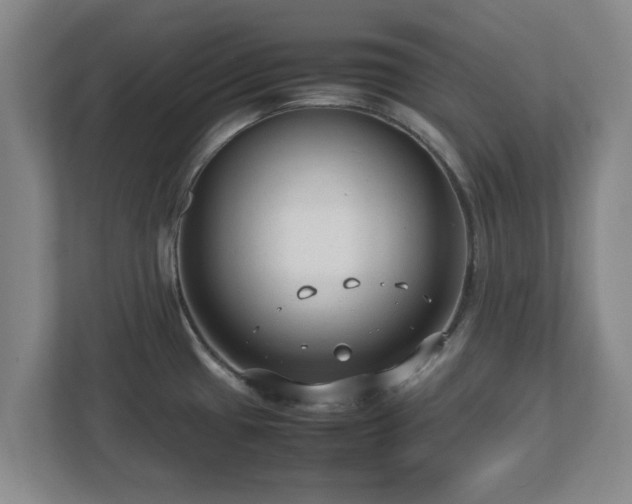 X0000112731433200908271419